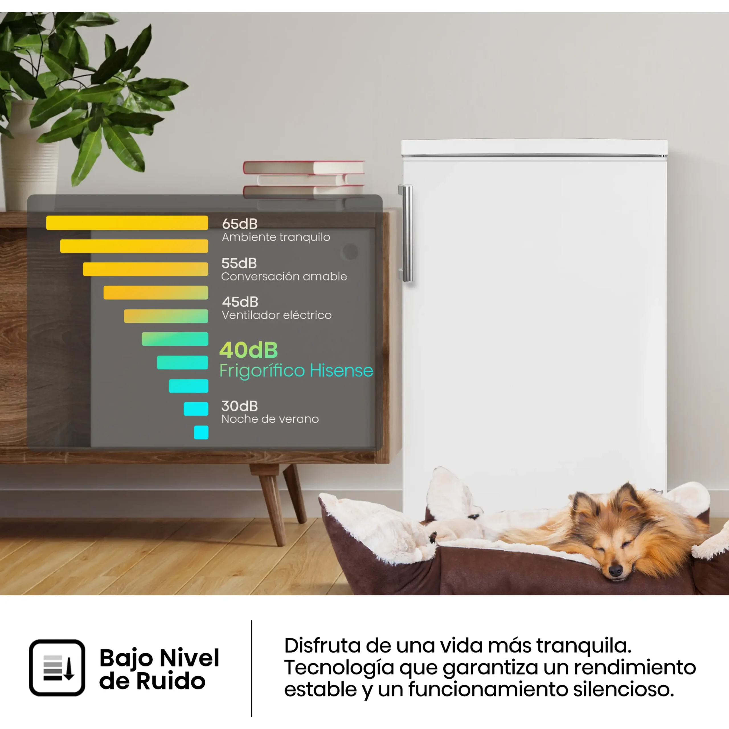 ASSET_MMS_170304695