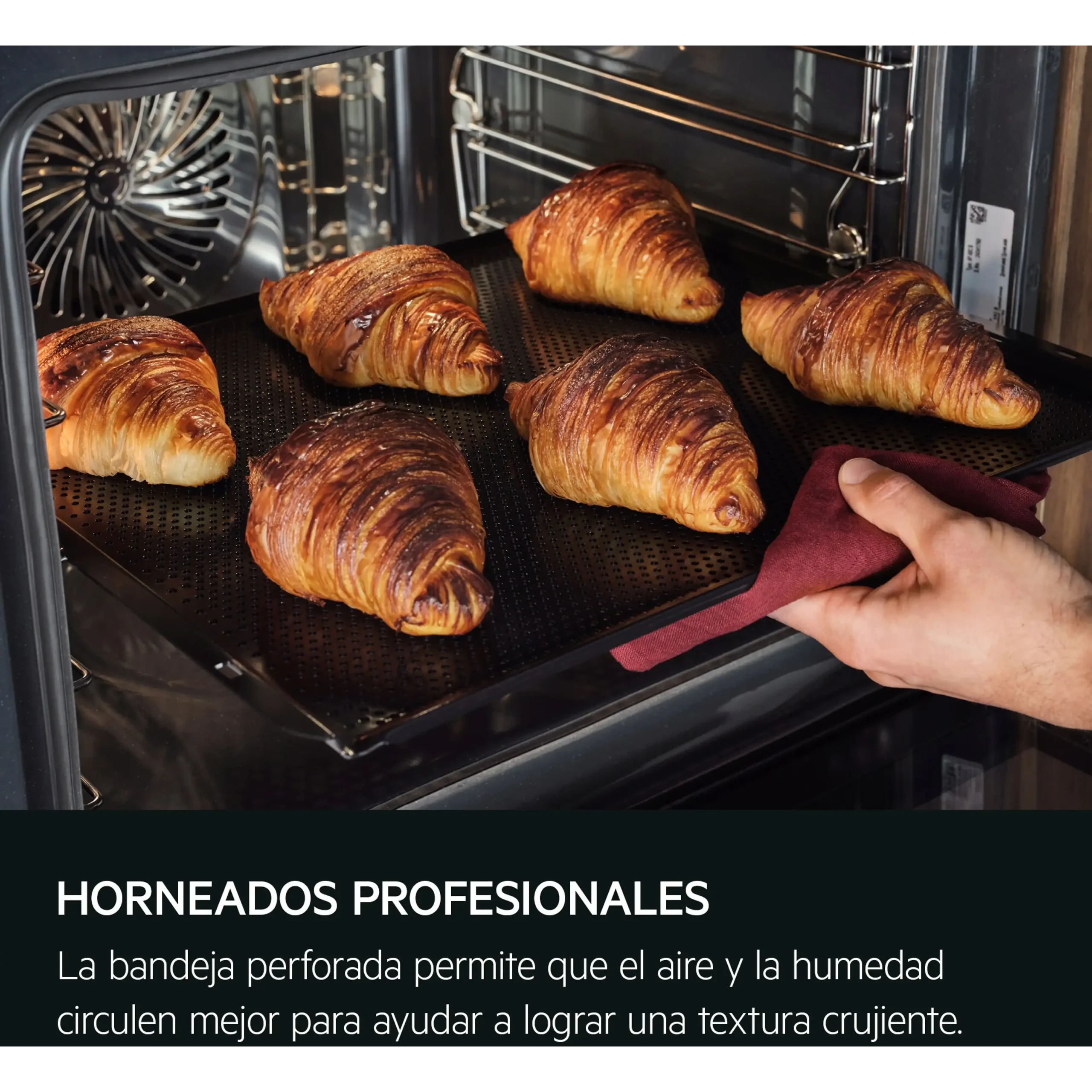 Horno a vapor - AEG Serie 9000 TP9SK821B, Integrable, Hidrolítica, 45 l, 595 mm, Negro - Imagen 7